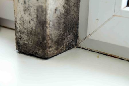 mold in the corner of the window