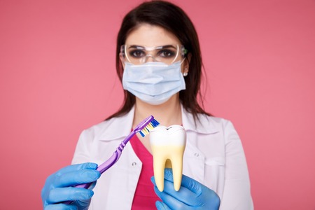 Woman dentist with gloves showing on a jaw model how to clean the teeth with tooth brush properlyの写真素材