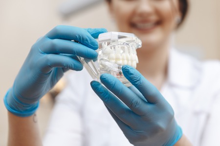 Young female dentist holding dental jaw model isolated onの写真素材