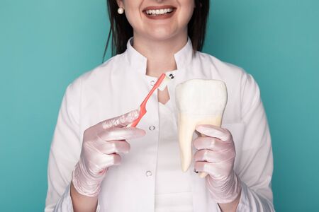 Dentist in gloves holding medical stuff isolated in the blue studio.の写真素材