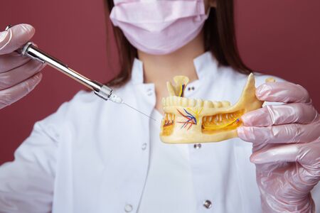 Portrait of female dentist with fake jaw and dental syrigne isolated