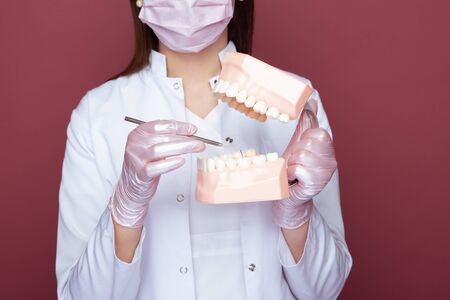 Young specialist dentist in gloves in the pink studio working with fake jaw isolated.の写真素材