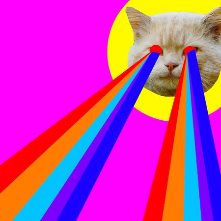 Evil Cat with rainbow lasers from eyes. Minimal collage fashionの写真素材