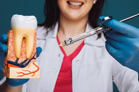 Dentist showing how to do anesthesia on the tooth model.