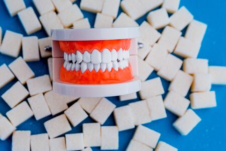 A peace of sugar in the fake jaw with a lot of holes in teeth isolated.の写真素材