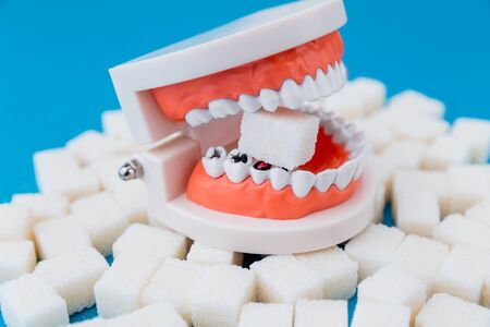 A peace of sugar in the fake jaw with a lot of holes in teeth isolated.の写真素材