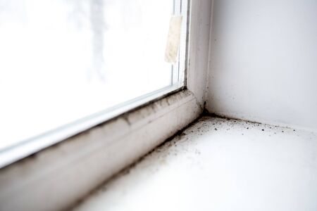 mold in the corner of the windowの写真素材