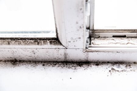 mold in the corner of the windowの写真素材