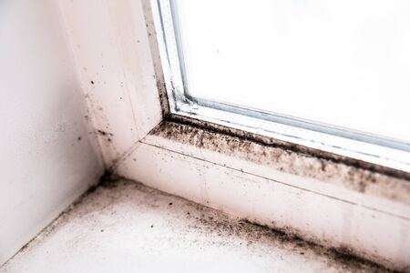 mold in the corner of the windowの写真素材