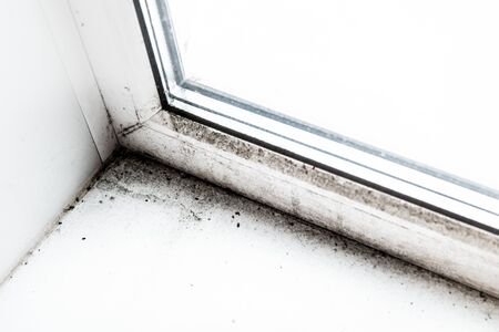 mold in the corner of the window.
