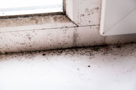 mold in the corner of the window.の写真素材