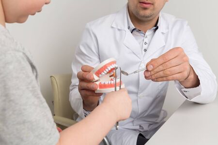 Dentist showing to the child denture and jaw to consider.