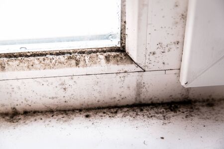 mold in the corner of the windowの写真素材