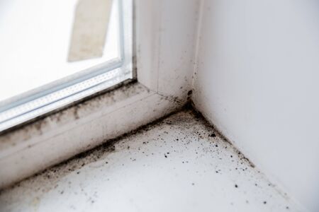 mold in the corner of the window.