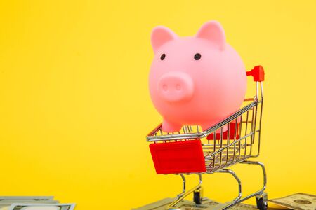 Clever shopping and save money concept. Shopping cart and piggy bank on yellow backgroundの写真素材