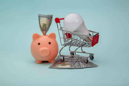 Piggy bank, trolley and led light lamp on blue background. Energy saving conceptの写真素材