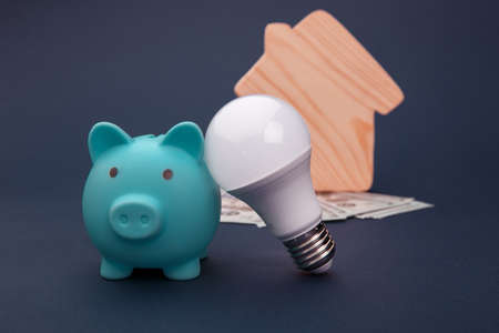 Piggy bank, money banknotes and led light bulb, house figure on blue background. Energy saving conceptの写真素材