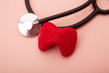 Model of thyroid with stethoscope on the pink tableの写真素材