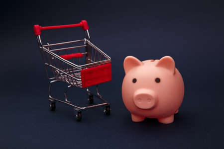 Shopping concept, economy. Piggy bank with supermarket trolleyの写真素材