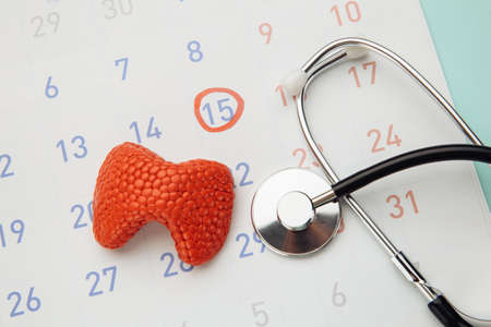 Model of thyroid with stethoscope on calendarの写真素材