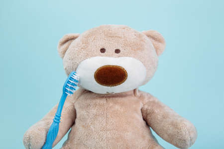 Stuffed Bear animal with toothbrush as a symbol of children dentistry concept isolated on blueの写真素材