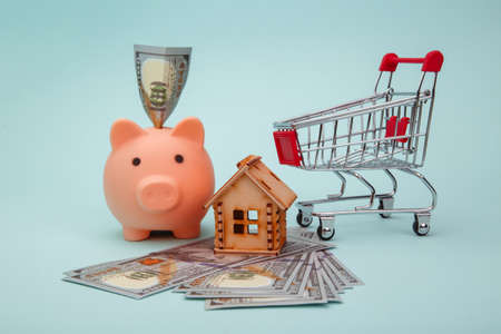 Piggy bank with wooden model of house, money banknotes and trolley.の写真素材