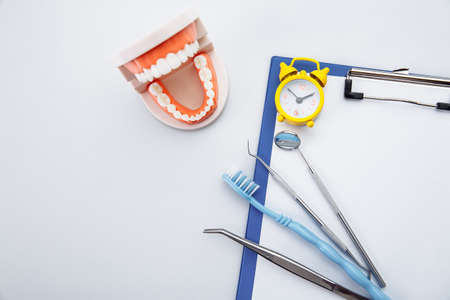 Dental care concept. Healthy tooth model with dental tool on the tableの写真素材