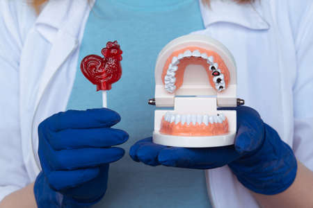 Dentist appointment, dentistry instruments and dental hygienist checkup concept with teeth model...