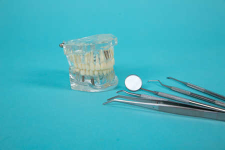 Fake jaw with medical instruments isolated on the blue background.