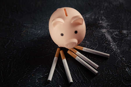 Pink piggy bank and cigarettes on grey table. Expensive and harmful habitの写真素材