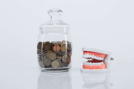 Model of jaw and glass bank with coins on a glass table. Expensive dentists services conceptの写真素材