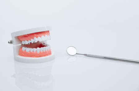 Jaw model and dentist tool. Teeth treatment conceptの写真素材