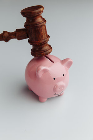Wooden gavel and pink piggy bankの写真素材