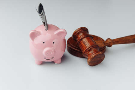 Gavel and pink piggy bank with dollar bill on a white deskの写真素材