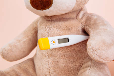 Stuffed Bear animal presented as a pediatrician holding a thermometer close-upの写真素材
