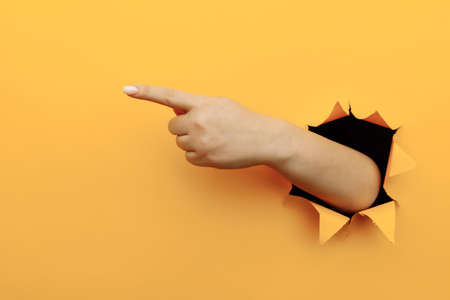 Female left hand pointing to the right through a yellow backgroundの写真素材