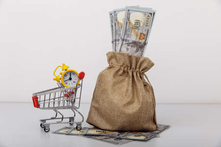 Dollar money bag and a shopping cart. Loans and microloans conceptの写真素材