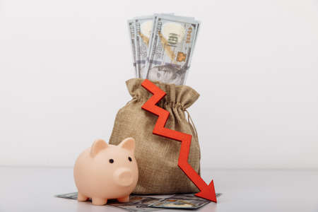 Money bag, piggy bank and red down arrow. Stagnation, recession, declining business activity, falling wealthの写真素材
