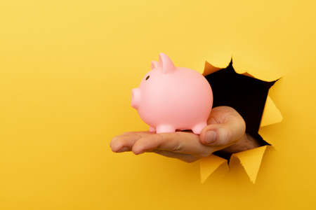 Hand with a pink piggy bank through a yellow paper hole. Financial and business concept