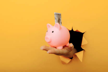 Hand with a piggy bank and dollar banknote through a yellow paper hole. Investment and savingsの写真素材