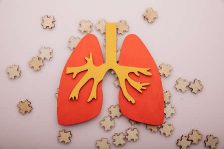 Lung cancer or respiratory disease concept. Wooden puzzle and lungの写真素材