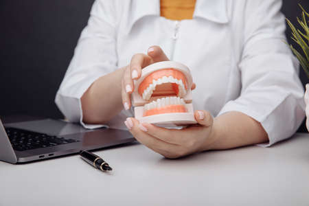 Doctor dentist holds a model of jaw in handの写真素材