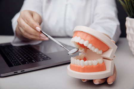 Oral checkup concept. Dentist and model of jaw