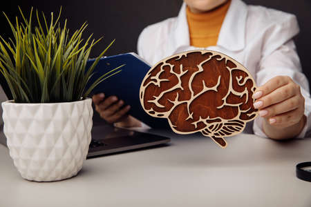 Doctor holding wooden model of the brain. Healthcare conceptの写真素材