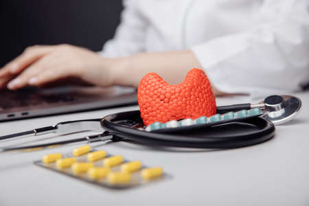 Early diagnosis and treatment of thyroid concept. Model of thyroid gland near stethoscope and doctorの写真素材