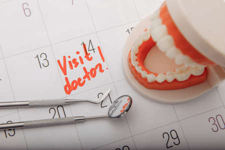 Model of jaw on calendar with mark close-up. Dental care conceptの写真素材