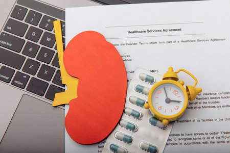 Model of kidney,pills and healthcare contract