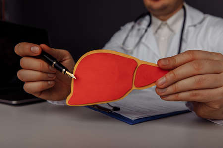 Doctor showing a wooden model of liver. Healthcare and early diagnostic conceptの写真素材