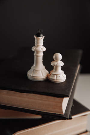 Chess figures on books. Vertical imageの写真素材