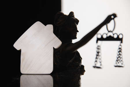 justice hammer and wood houseの写真素材